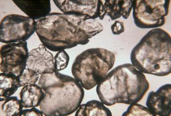 Substrate from a sandy shore